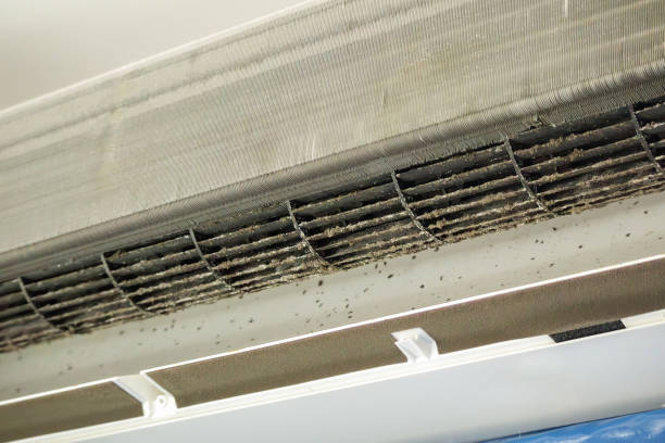 Best Air Vent Cleaning Services  in Pine Ridge, FL