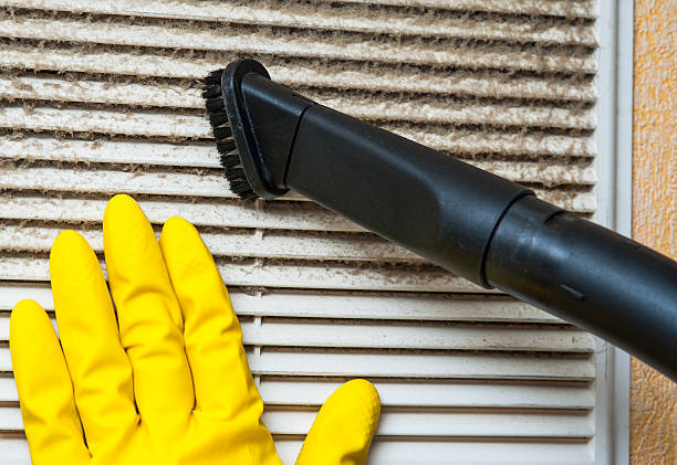 Best Air Duct Inspection  in Pine Ridge, FL